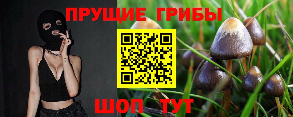 Галлюциногенные грибы мицелий Кольчугино