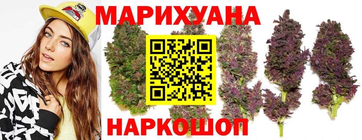 Каннабис индика Кольчугино